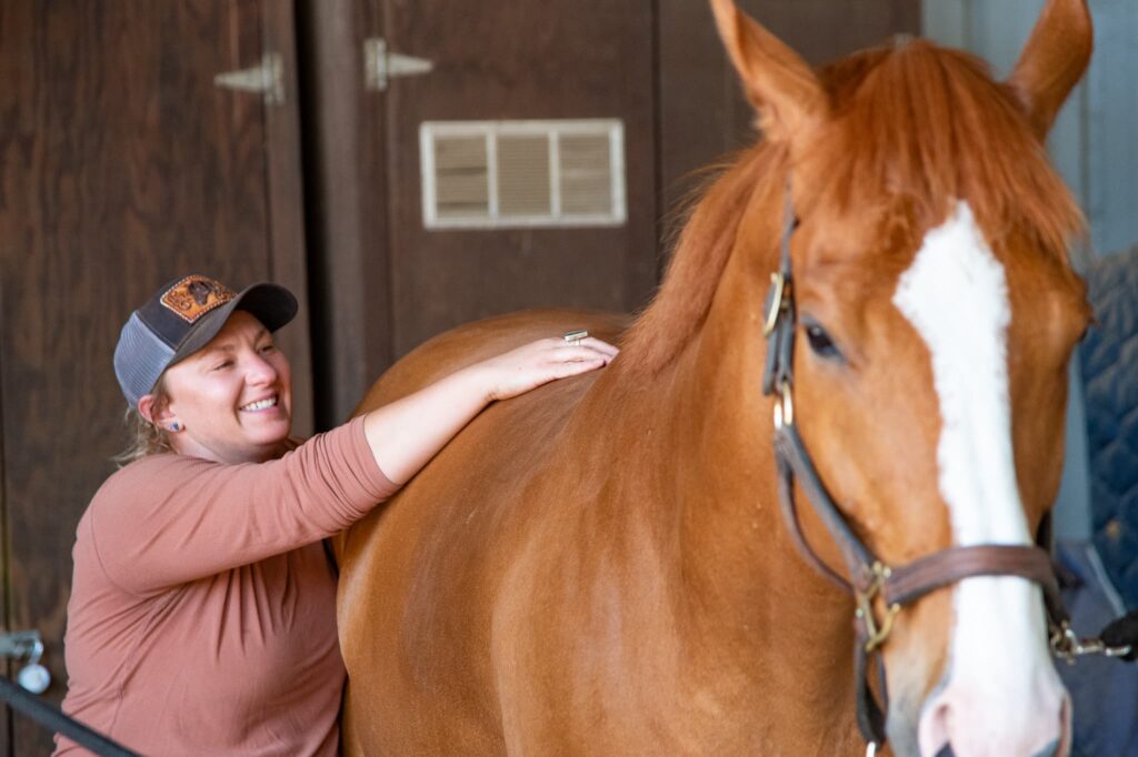 chestnut-horse-bodywork